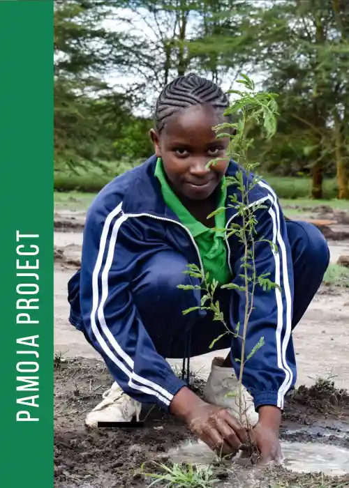 Pamoja Project Brief